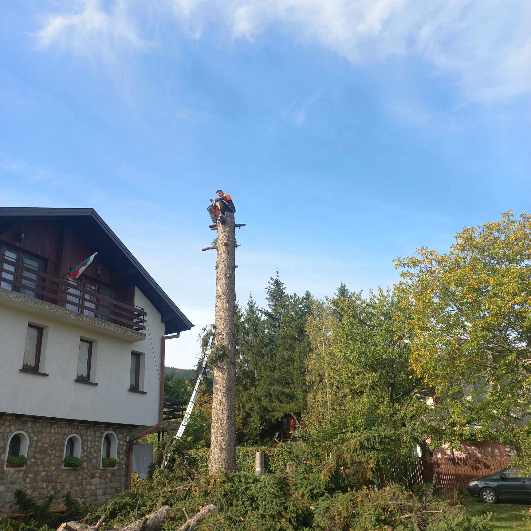 demo image