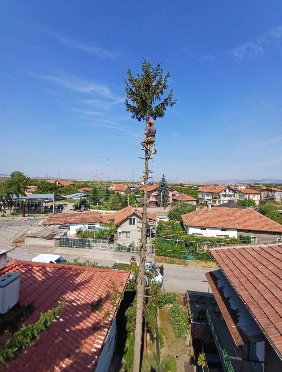 demo image