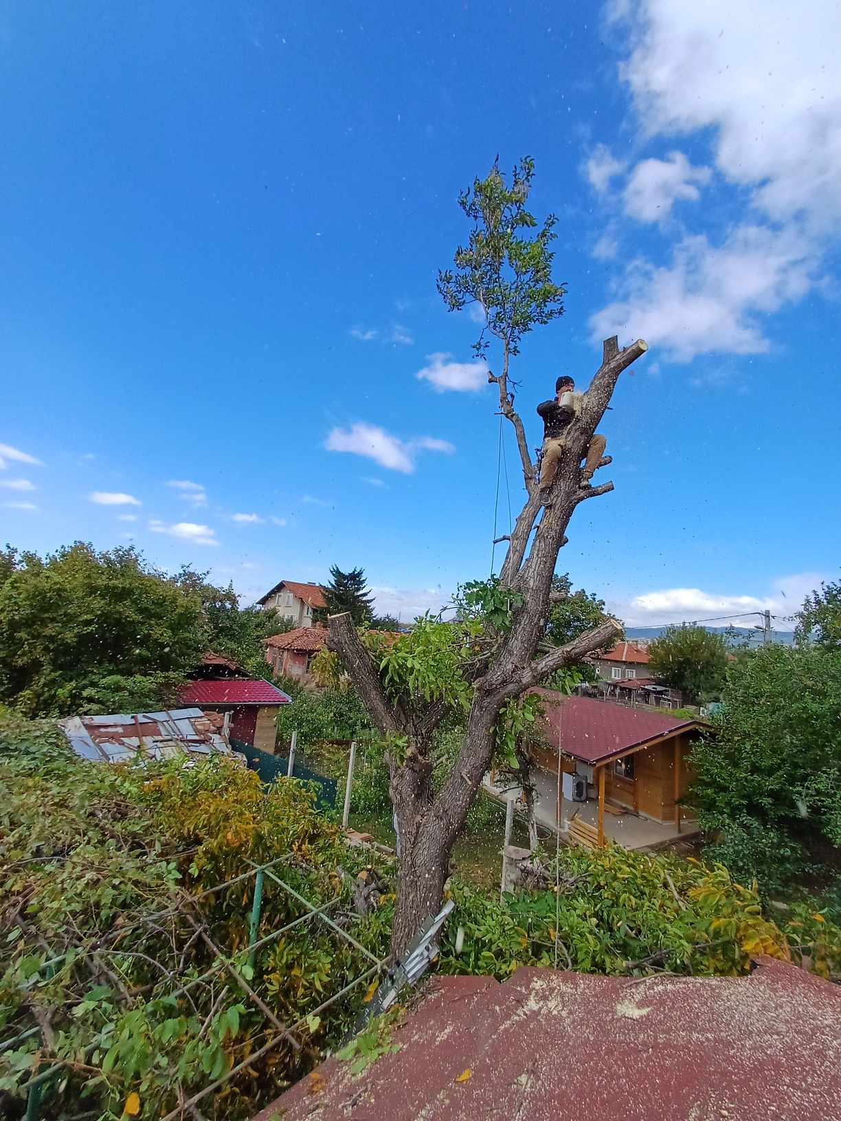 demo image